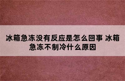 冰箱急冻没有反应是怎么回事 冰箱急冻不制冷什么原因